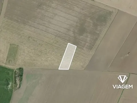 Prodej podílu pole, Sluhy, 2137 m2