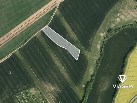 Prodej podílu pole, Zdounky, 1558 m2