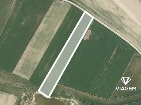 Prodej podílu pole, Kejžlice, 2768 m2