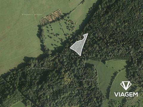 Prodej podílu lesa, Luhačovice, 2043 m2