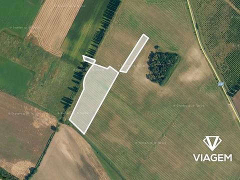 Prodej podílu pole, Horušice, 2895 m2