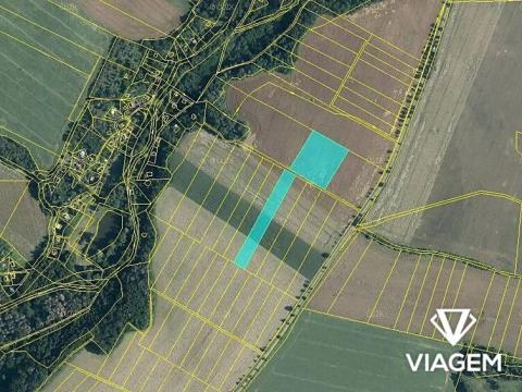 Prodej podílu pole, Žumberk, 5537 m2