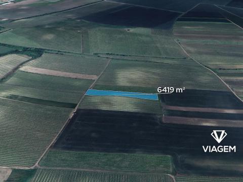 Prodej podílu pole, Přítluky, 229 m2
