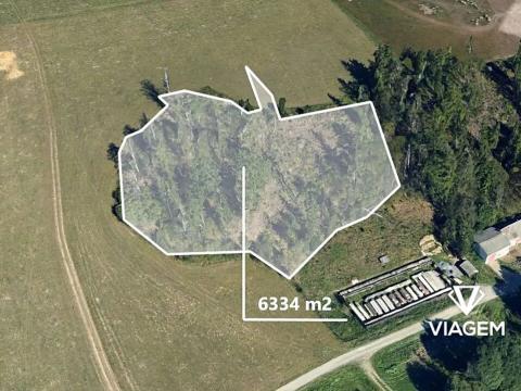 Prodej podílu lesa, Oborná, 1319 m2