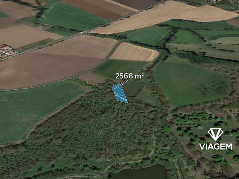 Prodej pole, Kopidlno, 2568 m2