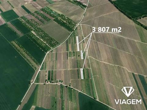 Prodej podílu pole, Moravský Žižkov, 1427 m2