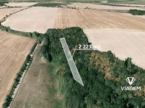 Prodej podílu lesa, Stěbořice, 1111 m2