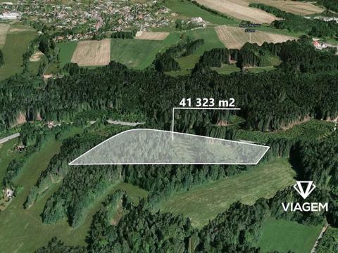 Prodej lesa, Loužnice, 41323 m2