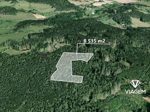 Prodej podílu lesa, Volyně, 1219 m2