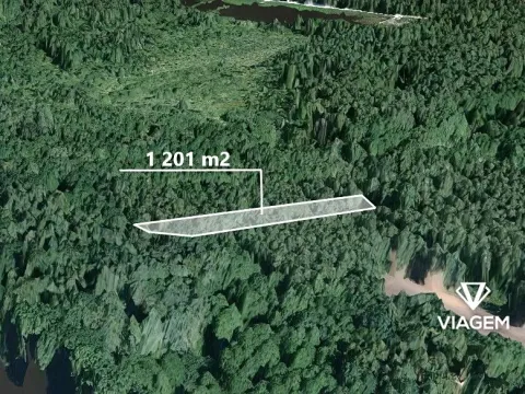 Prodej lesa, Třeboň, 1201 m2