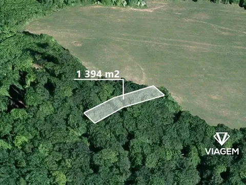 Prodej podílu lesa, Březová, 464 m2