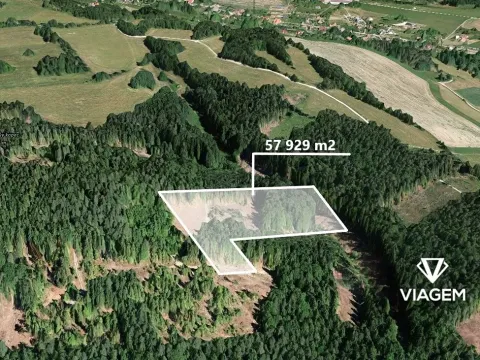 Prodej podílu lesa, Železný Brod, 27889 m2