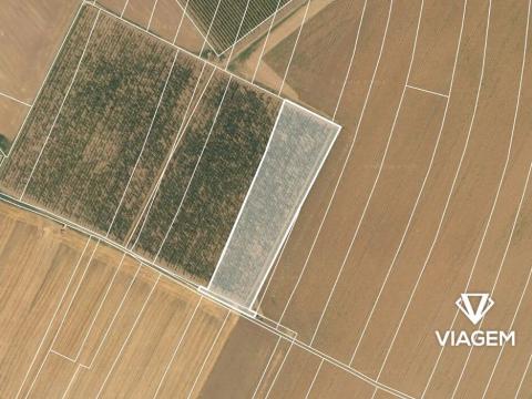 Prodej podílu pole, Chotiněves, 3468 m2