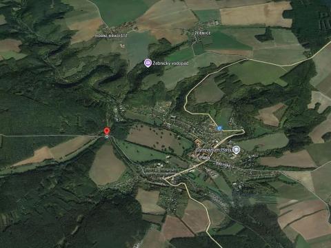 Prodej podílu lesa, Plasy, 478 m2