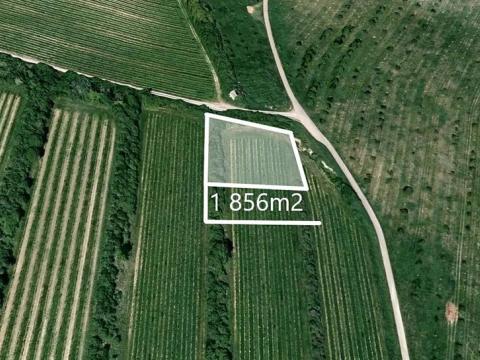 Prodej sadu/vinice, Šardice, 1856 m2