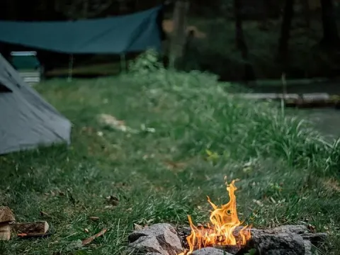 Prodej podílu lesa, Stříbrná Skalice, 2040 m2