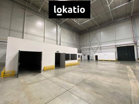 Pronájem skladu, Modřice, 3920 m2