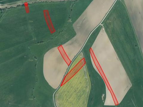 Prodej pole, Dnešice, 22848 m2