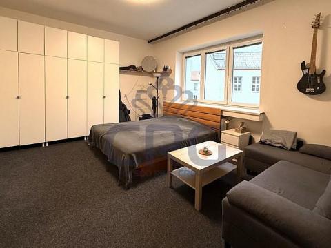 Pronájem bytu 1+1, Brno - Staré Brno, Nové sady, 48 m2