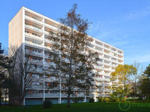 Pronájem bytu 3+1, Hradec Králové - Slezské Předměstí, Třebechovická, 55 m2