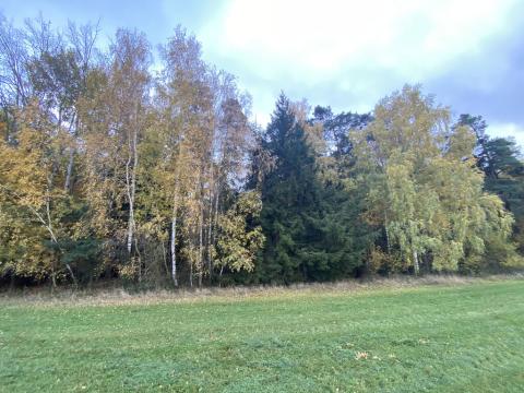 Prodej lesa, Srbice - Těšovice, 2923 m2