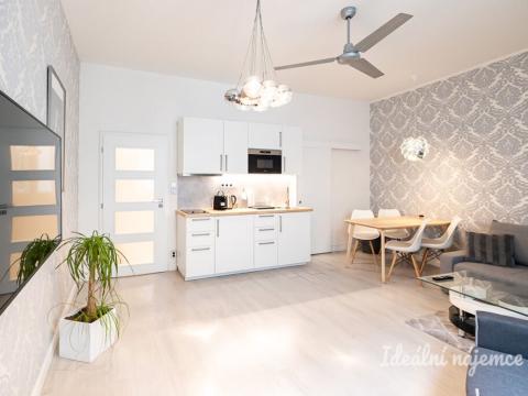 Pronájem bytu 2+kk, Praha - Nové Město, Opletalova, 42 m2