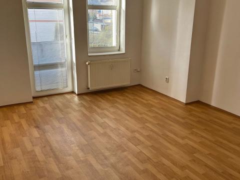 Pronájem bytu 1+1, Ústí nad Labem, Na Kohoutě, 39 m2