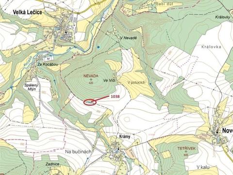 Dražba lesa, Nové Dvory, 953 m2