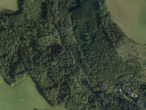 Prodej lesa, Štíty, 93672 m2