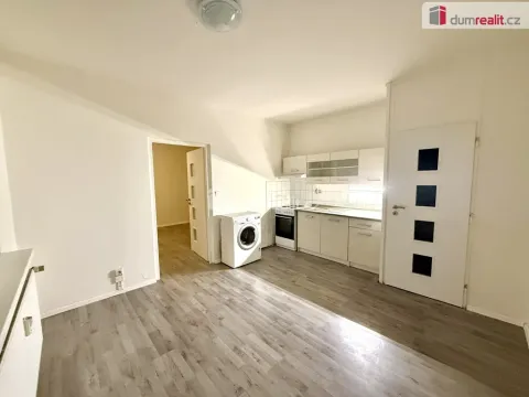 Pronájem bytu 1+1, Jílové - Martiněves, E. Krásnohorské, 36 m2