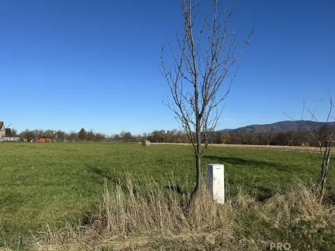 Prodej pozemku pro bydlení, Návsí, 3207 m2