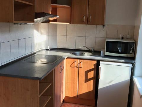 Pronájem bytu 1+kk, Praha - Vysočany, Freyova, 20 m2
