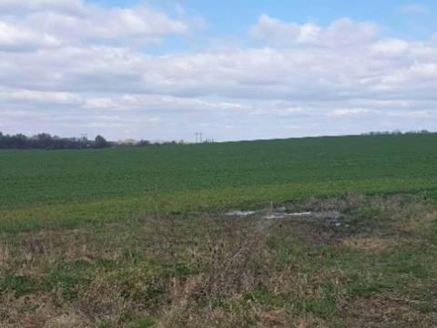 Dražba zahrady, Plzeň, 7558 m2