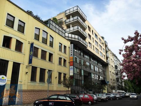 Pronájem obchodního prostoru, Praha - Vinohrady, Chrudimská, 360 m2