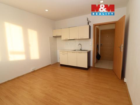 Pronájem bytu 1+kk, Ostrov, Kollárova, 21 m2