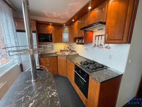 Pronájem bytu 3+1, Chomutov, Borová, 60 m2