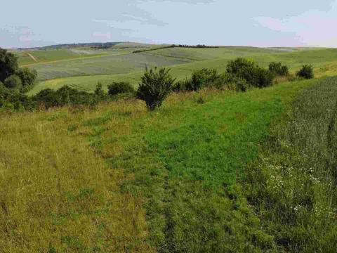 Prodej pole, Bučovice, 3134 m2