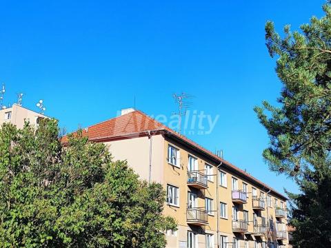 Pronájem bytu 2+1, Náměšť nad Oslavou, Petra Křičky, 54 m2