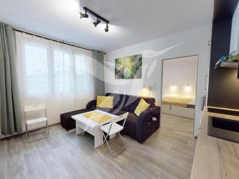 Pronájem bytu 1+1, Dýšina, K Chlumu, 35 m2