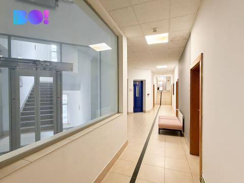 Pronájem kanceláře, Praha, Žerotínova, 419 m2