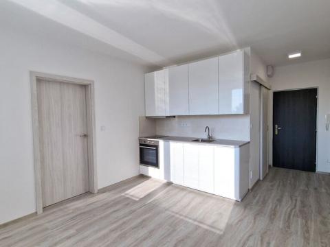 Pronájem bytu 1+1, Bohušovice nad Ohří, Zahradní, 35 m2