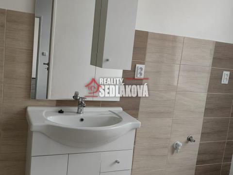 Pronájem bytu 1+1, Děčín - Děčín II-Nové Město, Horská, 42 m2