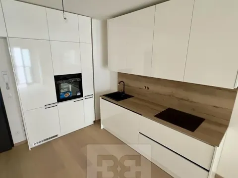 Prodej bytu 1+kk, Praha - Holešovice, V háji, 43 m2