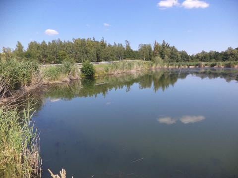 Prodej pozemku, Stonava, 1274 m2