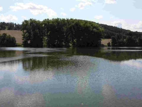 Prodej pozemku, Chocomyšl, 59407 m2