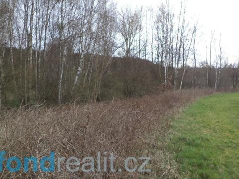 Prodej pozemku, Luby, 2757 m2