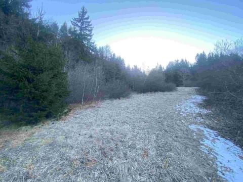 Prodej pozemku, Železná Ruda, 2377 m2