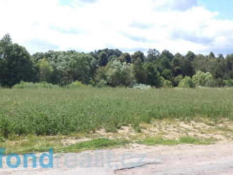 Prodej pozemku, Batelov - Bezděčín, 4944 m2