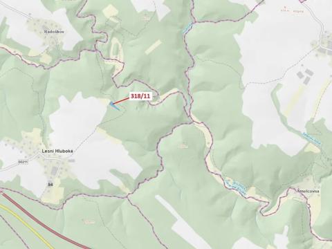 Dražba lesa, Lesní Hluboké, 3838 m2