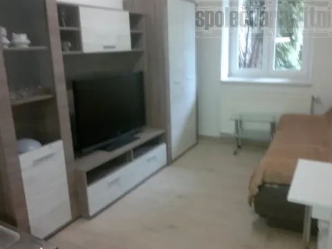 Pronájem bytu 1+kk, Holubice, Na Hrázi, 20 m2